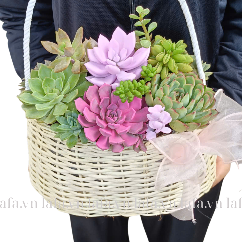 Sắc màu bình yên - Quà tặng sinh nhật tượng trưng cho sự thư thái, hài hòa.