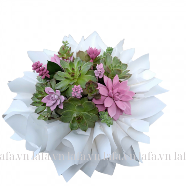 Hương sắc Hạnh Phúc - Quà tặng bạn ý nghĩa, ấm áp