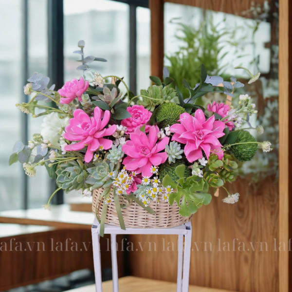 Giỏ hoa sen đá Aura Xinh đẹp