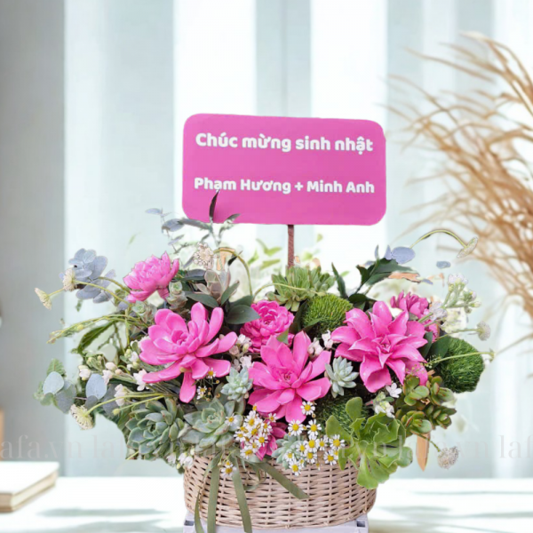 Giỏ hoa sen đá chúc mừng sinh nhật