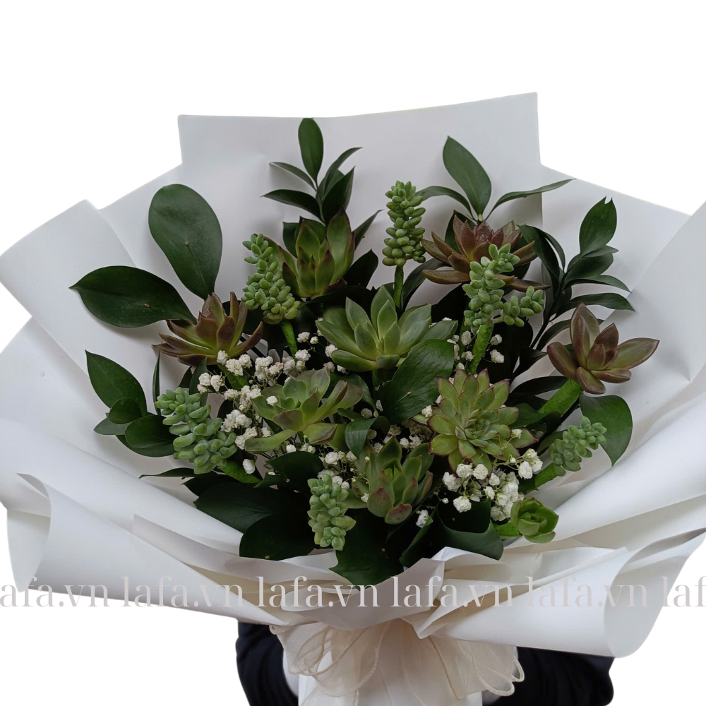 Sắc màu an lành (2) giỏ hoa sen đá tặng bạn