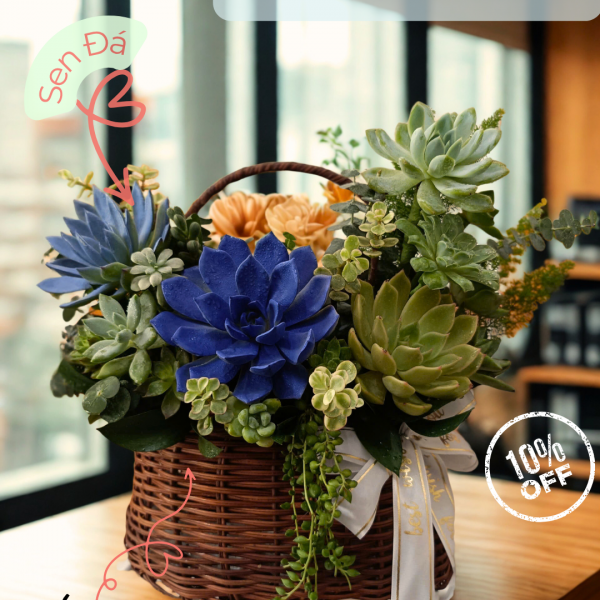 Quà tặng sinh nhật - hơi thở thanh xuân